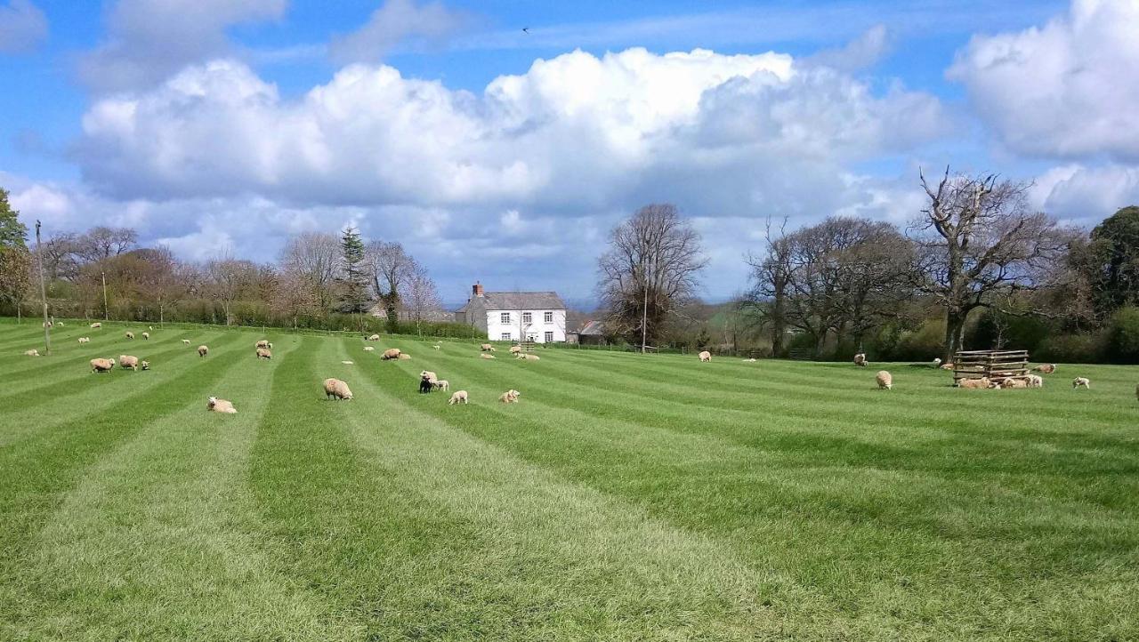 Lovaton Farmhouse Okehampton Kültér fotó