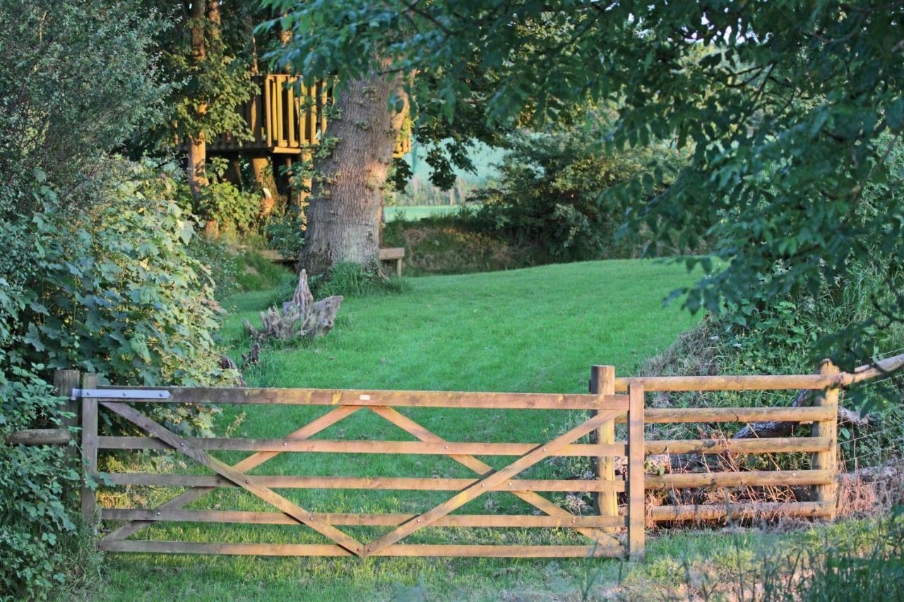 Lovaton Farmhouse Okehampton Kültér fotó