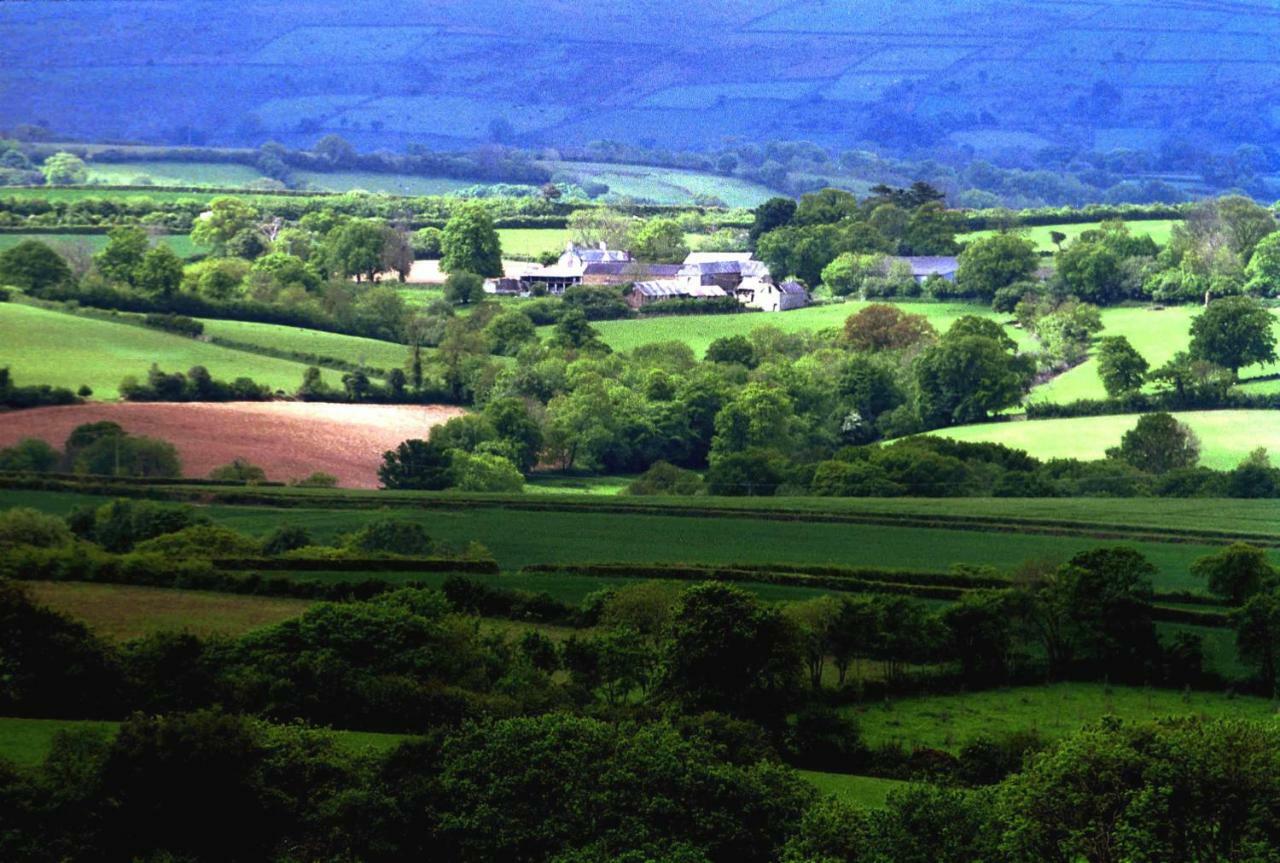 Lovaton Farmhouse Okehampton Kültér fotó