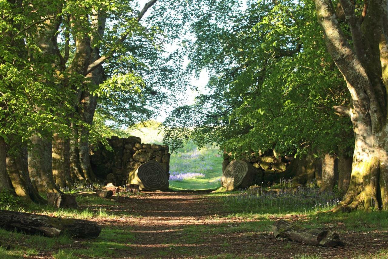 Lovaton Farmhouse Okehampton Kültér fotó