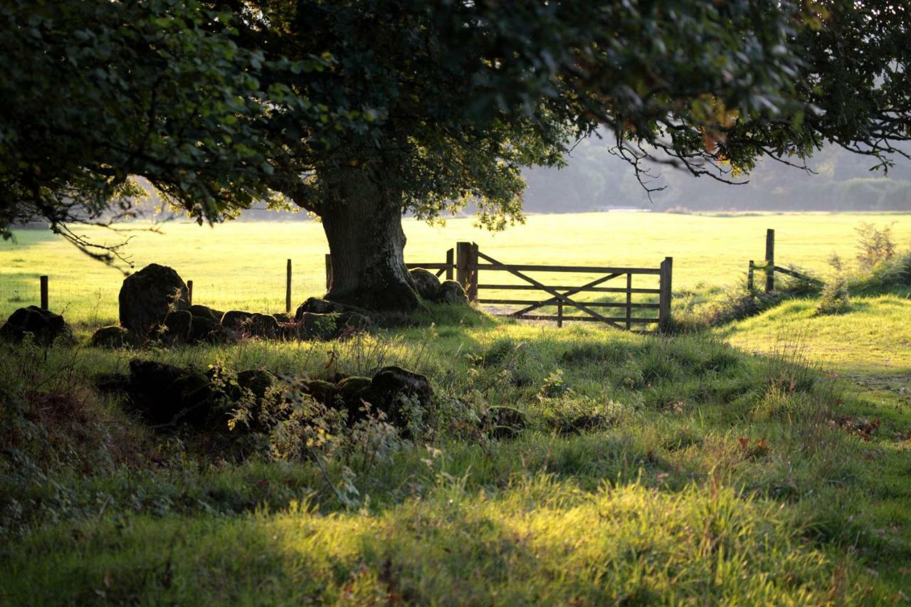 Lovaton Farmhouse Okehampton Kültér fotó