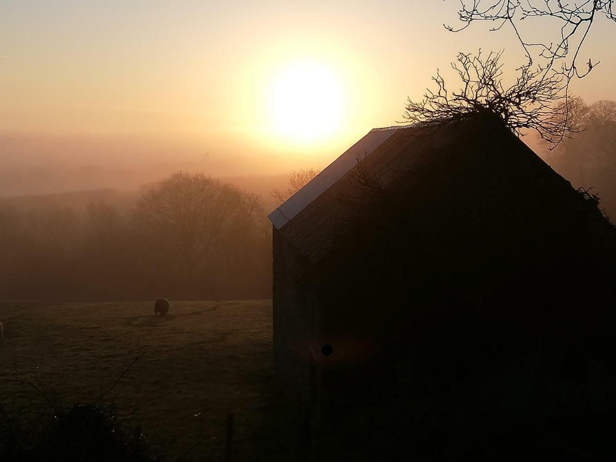 Lovaton Farmhouse Okehampton Kültér fotó