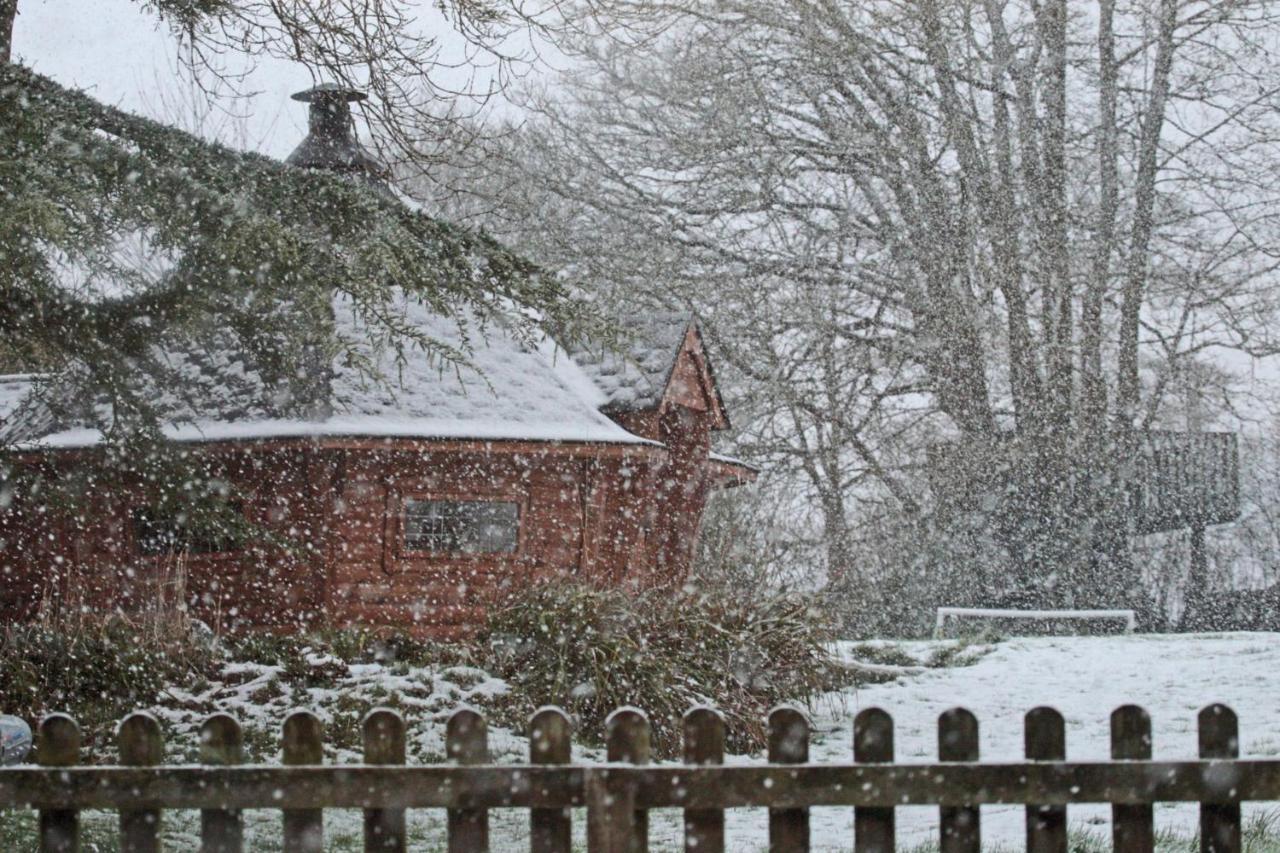 Lovaton Farmhouse Okehampton Kültér fotó
