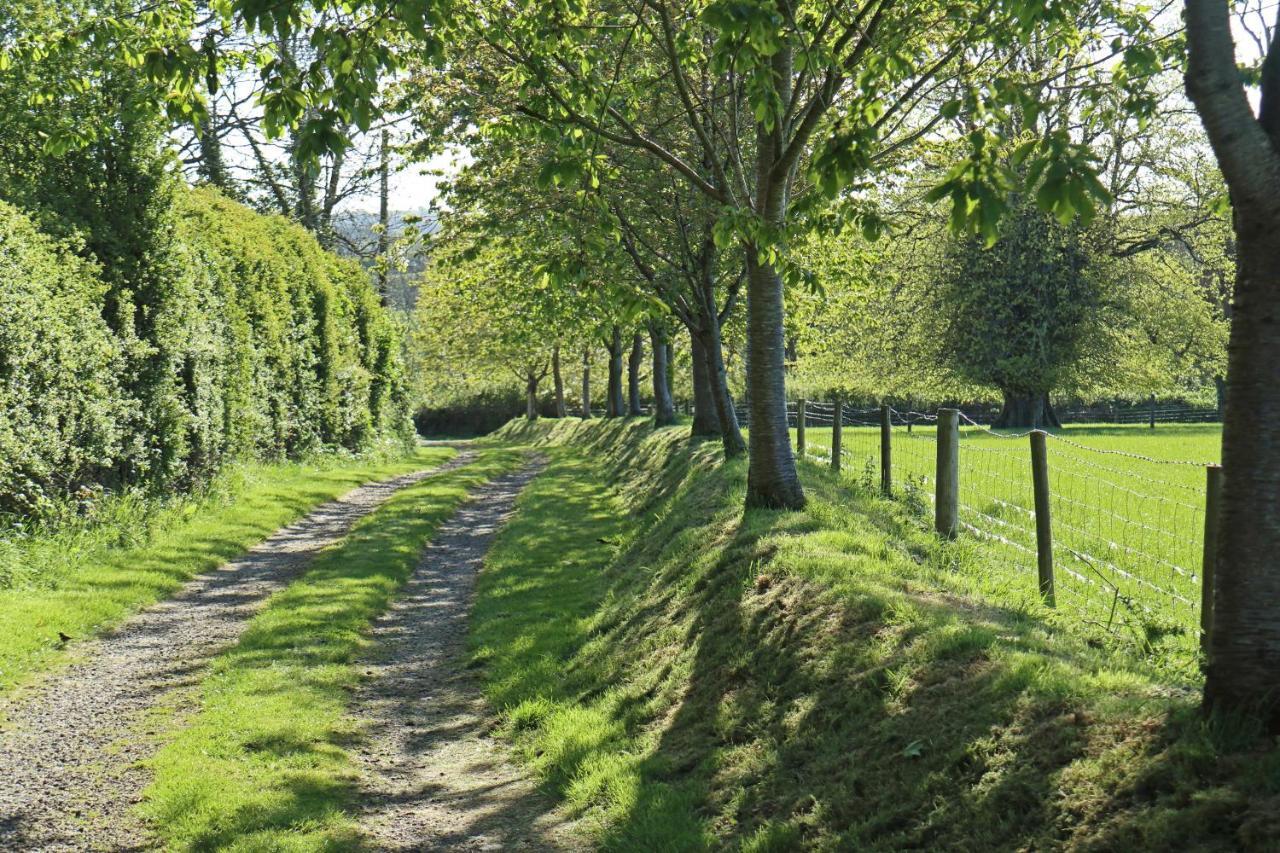 Lovaton Farmhouse Okehampton Kültér fotó